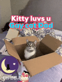 Cardboard Cat Kitty Luvs U Gay Cat Dad GIF