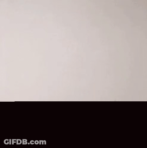 Cardboard Sign Saying No GIF