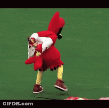 Cardinal Mascot Running On Field GIF