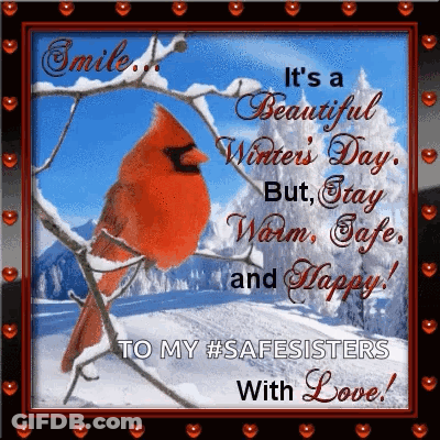 Cardinal On Snowy Branch With It's A Beautiful Winter's Day Quote GIF