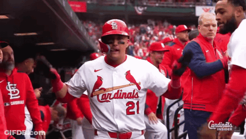 Cardinals Baseball Player In Dugout GIF
