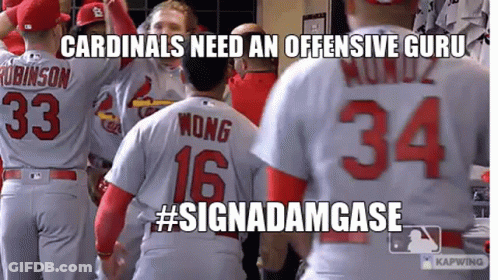 Cardinals Need An Offensive Guru #Signadamgase Written On A Picture Of Baseball Players GIF