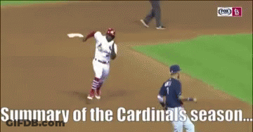 Cardinals Season Summary On Screen GIF
