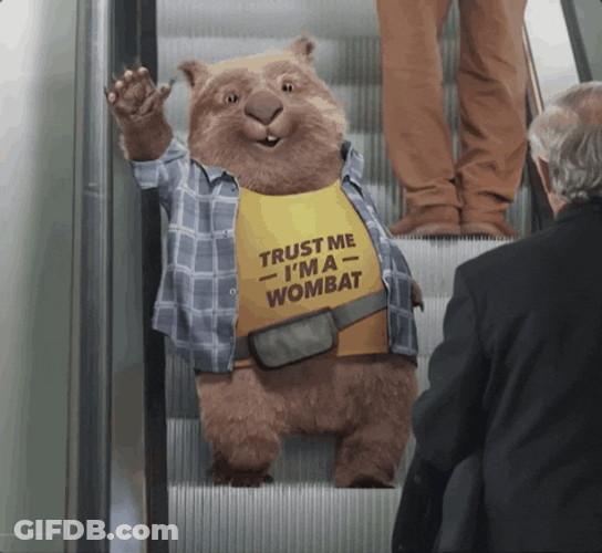 Carl Bear Gets Down Stairs Slips GIF