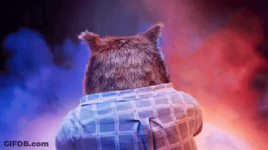 Carl Bear Surprise Covers Eye Candy GIF