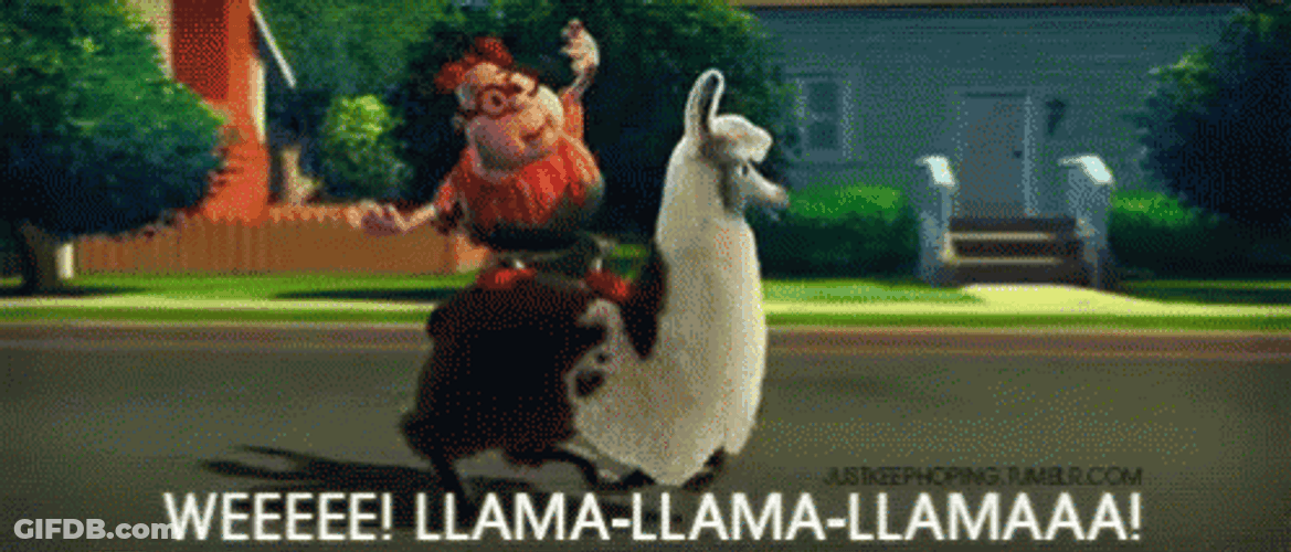 Carl Carlwheezer Llama GIF