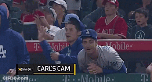 Carl 'S Cam Is Shown On The Screen During A Game GIF