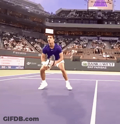 Carlos Alcaraz Volley GIF