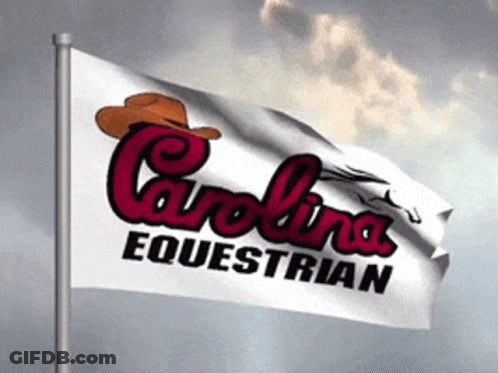 Carolina Equestrian Flag With Cowboy Hat GIF