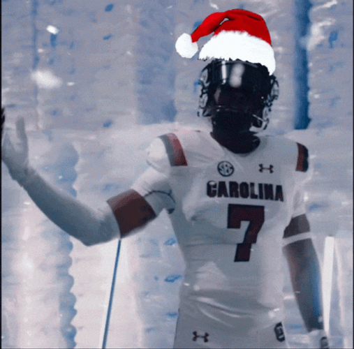Carolina Gamecocks Christmas GIF