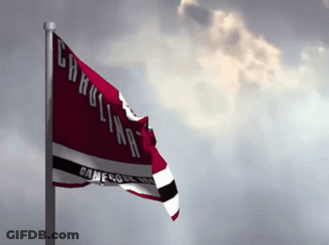 Carolina Gamecocks Hockey Flag GIF