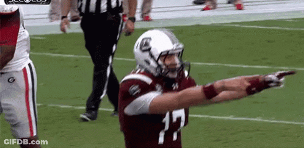 Carolina Gamecocks In Hype GIF