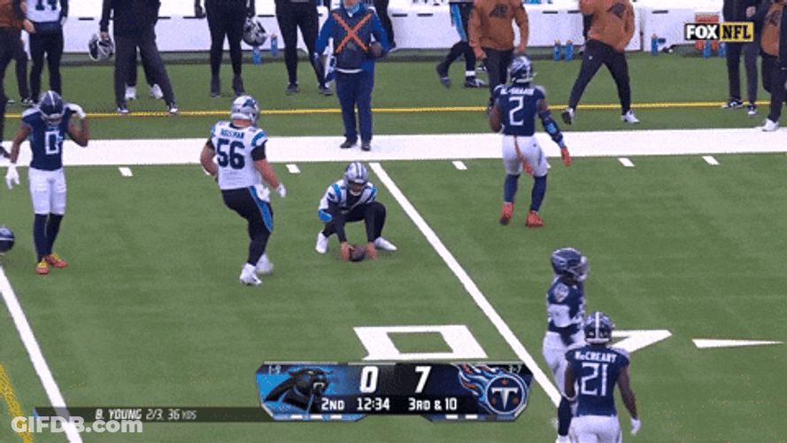 Carolina Panther Fox Nfl GIF