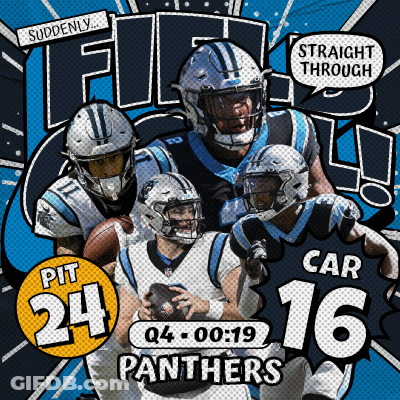 Carolina Panthers (16) Vs. Pittsburgh Steelers (24) Fourth Quarter GIF