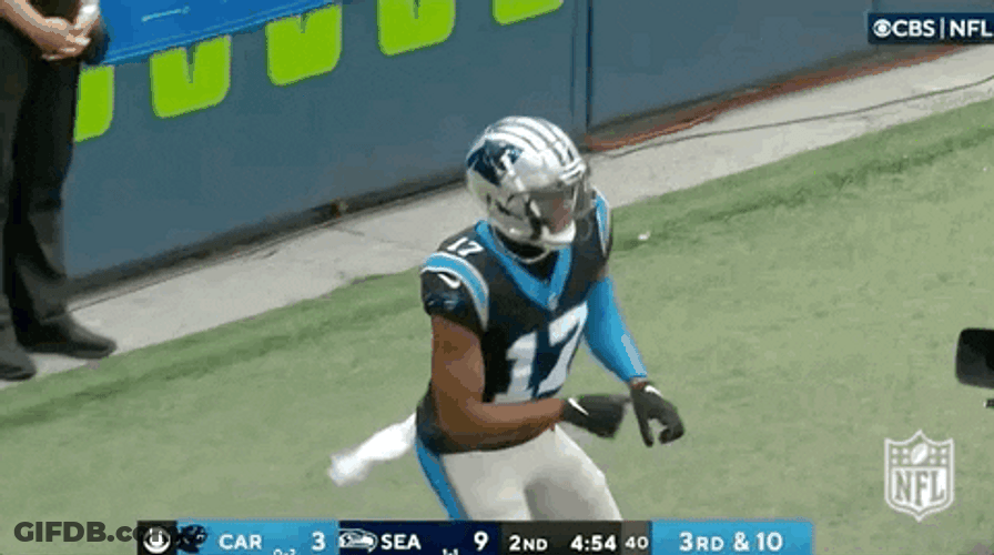 Carolina Panthers GIF