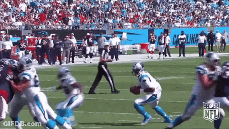 Carolina Panthers Cam Newton Back Flip GIF