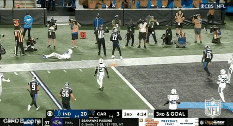 Carolina Panthers DJ Chark Jr Touchdown GIF