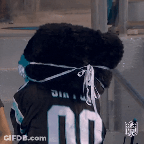 Carolina Panthers Mascot Dancing GIF