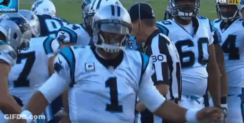 Carolina Panthers Players Around Referee In 30 Jersey GIF