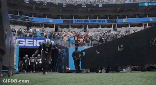 Carolina Panthers Playing In Geico Stadium GIF