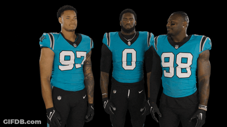 Carolina Panthers Undefined X Undefined GIF