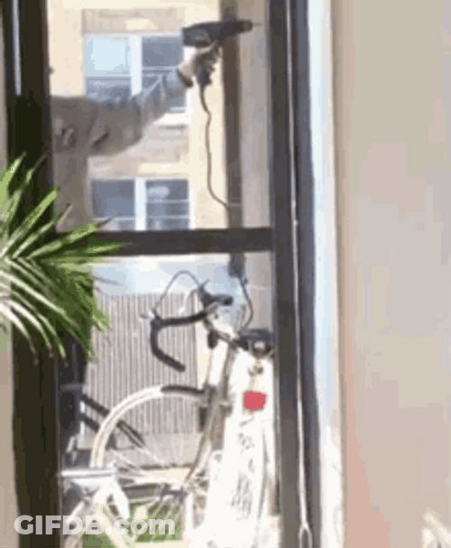 Carpenter Funny Drill And Hammer GIF