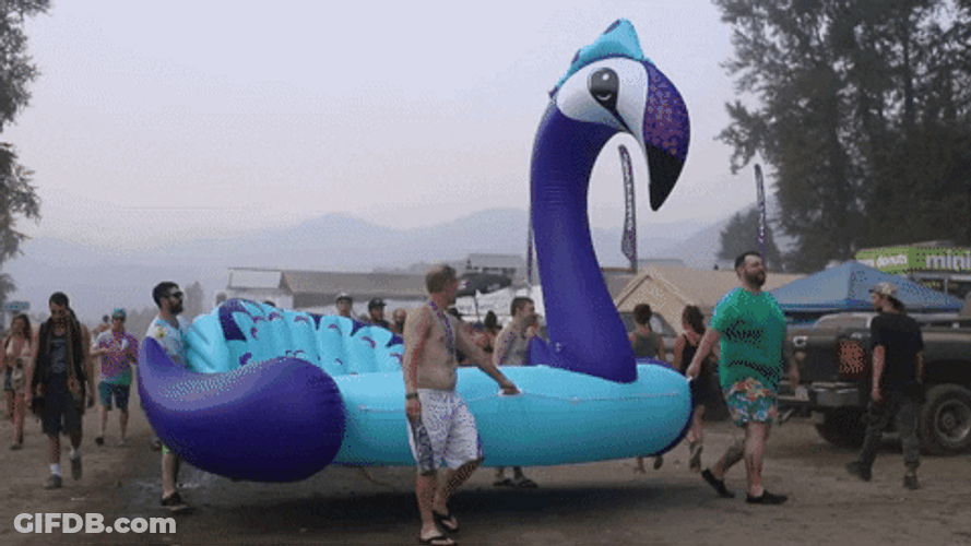 Carry The Duck Floaties GIF