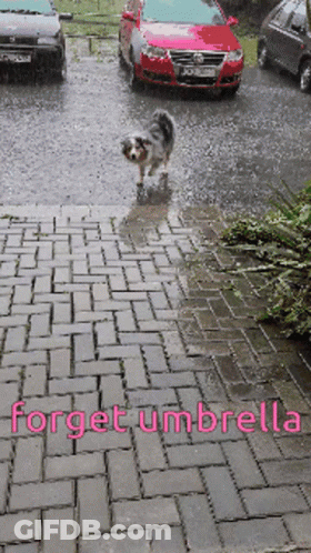Cars With 100 Percent Chance Of Thunder GIF