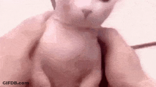 Cartoon Alien In Shorts With Pink Pocket GIF