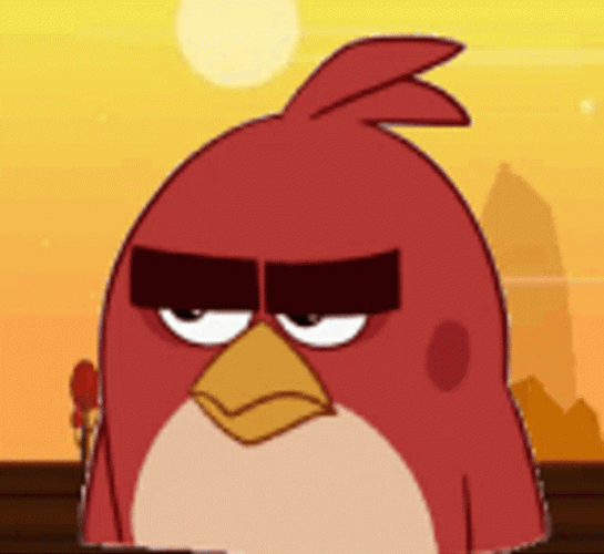 Cartoon Angry Birds Red Eye Roll GIF