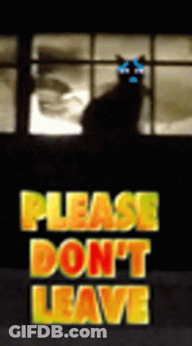 Cartoon Animals Hugging GIF