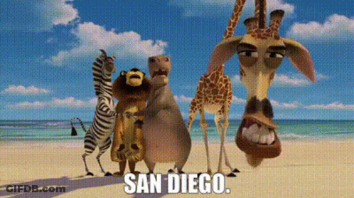 Cartoon Animals On Beach Saying San Diego GIF