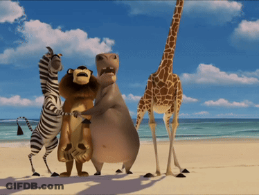 Cartoon Animals Standing On Beach GIF