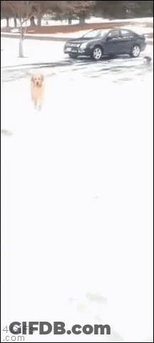 Cartoon Apple With Microphone GIF