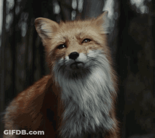 Cartoon Baby Laying And Laughing So Exciting GIF