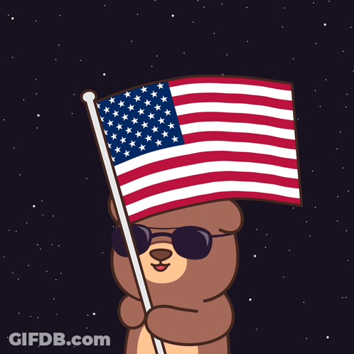 Cartoon Bear In Sunglasses Holding American Flag GIF