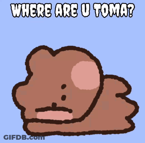 Cartoon Bear Saying Where Are U Toma GIF