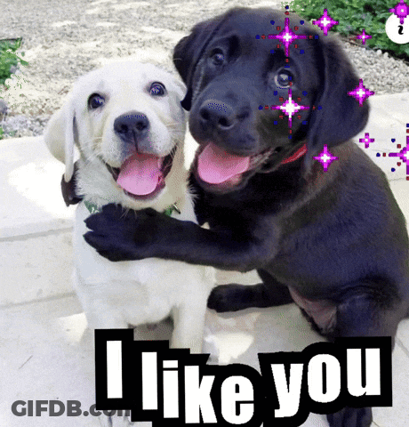 Cartoon Bear Surrounded By Hearts Big Sunday Hugs GIF