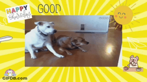 Cartoon Bear Thumbs Up One More Day To Friday GIF