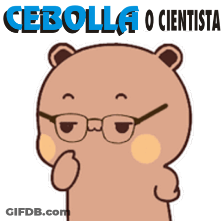 Cartoon Bear Wearing Glasses Cebolla O Cientifica GIF