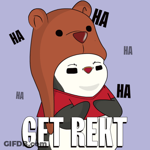 Cartoon Bear Wearing Ha Hat GIF