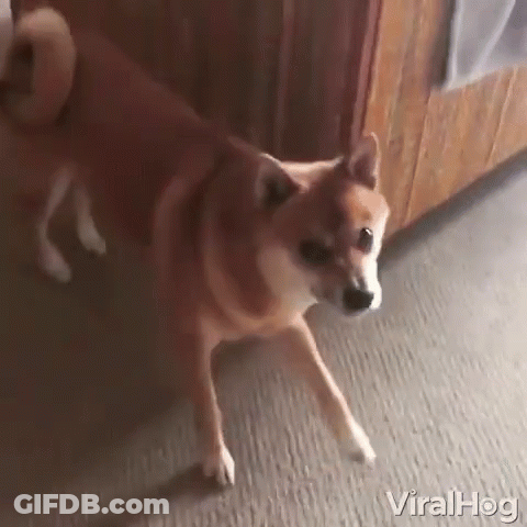 Cartoon Bear With Pink Hearts Says Can't Wait!!! GIF