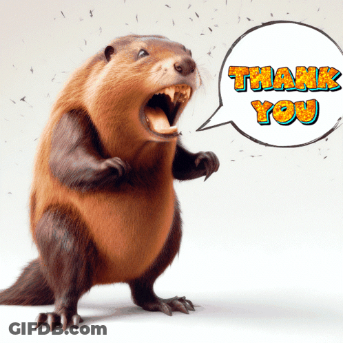 Cartoon Beaver Open Mouth Thank You GIF