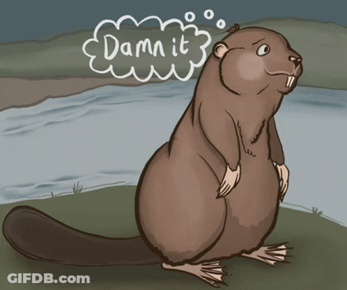 Cartoon Beaver Saying Dammit GIF