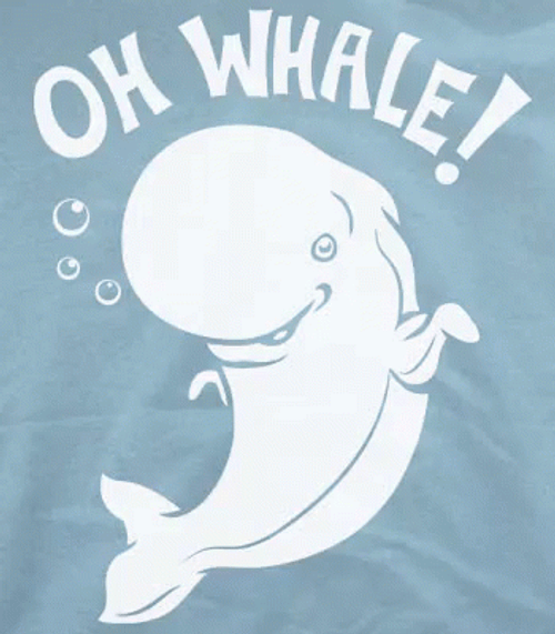 Cartoon Beluga Greetings GIF