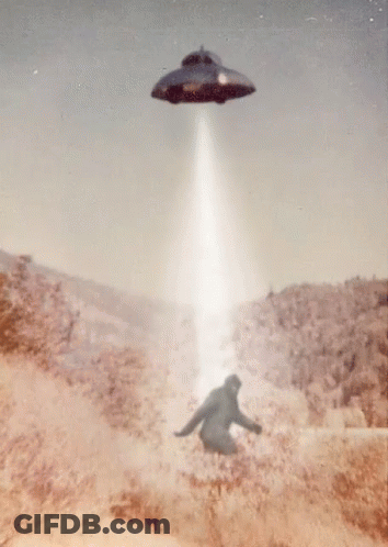 Cartoon Bigfoot In Forest GIF
