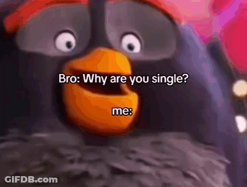 Cartoon Bird Asking Why Are You Single GIF