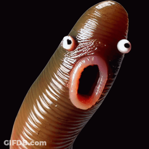 Cartoon Bird Eating Worm GIF