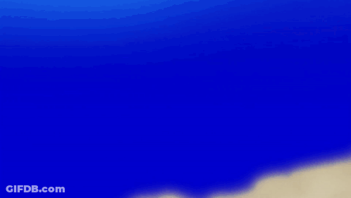 Cartoon Bird Head With White Scarf GIF