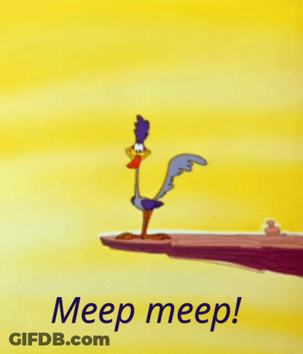 Cartoon Bird On Cliff Saying Meep Meep GIF